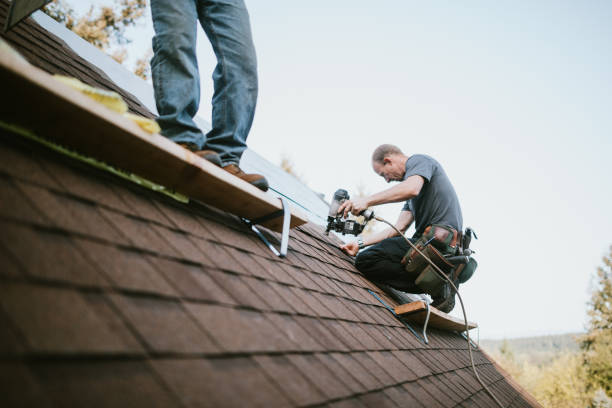Best Storm Damage Roof Repair  in Archie, MO